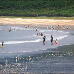 東の浜海水浴場［きれいな佐賀 白浜ビーチ］