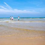 野北海水浴場［きれいな福岡 白浜ビーチ］