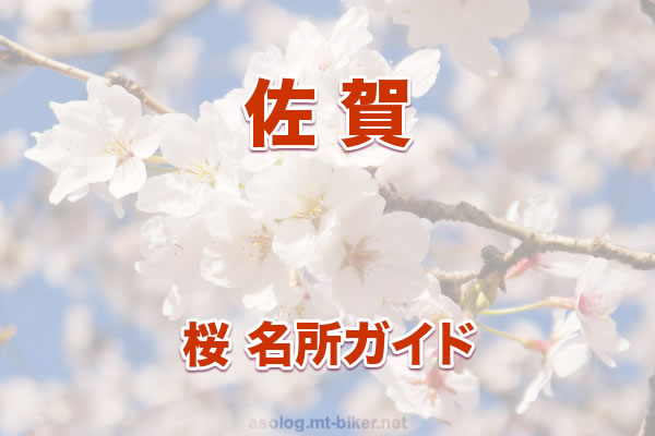 佐賀 桜 花見 人気の場所