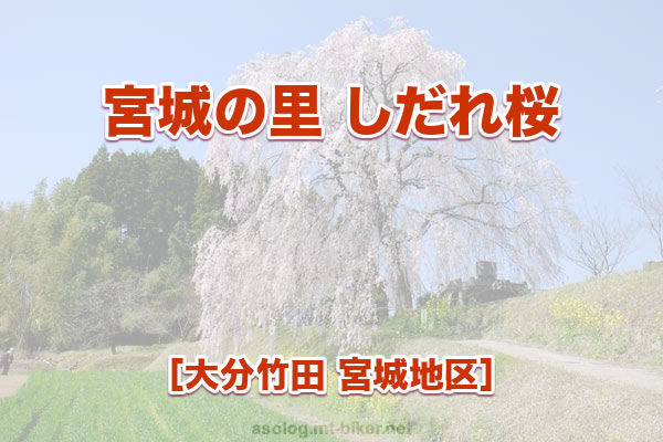 宮城の里 しだれ桜 大分竹田市 宮城地区