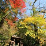 紅葉 名所 観光スポット［菊池渓谷：阿蘇 菊池市原］