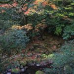 紅葉 名所 観光スポット［菊池渓谷：阿蘇 菊池市原］