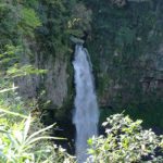 紅葉 名所 観光スポット［下城の大イチョウ：阿蘇 小国町］