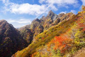 紅葉 名所 観光スポット［根子岳：阿蘇 高森町］