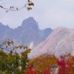 紅葉 名所 観光スポット［根子岳：阿蘇 高森町］