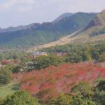 紅葉 名所 観光スポット［地蔵峠：阿蘇 南阿蘇村］