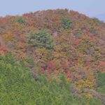 紅葉 名所 観光スポット［地蔵峠：阿蘇 南阿蘇村］