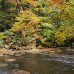 紅葉 名所 観光スポット［菊池渓谷：阿蘇 菊池市原］