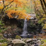 紅葉 名所 観光スポット［マゼノ渓谷：阿蘇 南小国町］