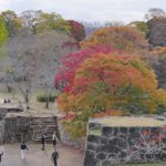 紅葉 名所 観光スポット［岡城跡：大分 竹田市 竹田城］