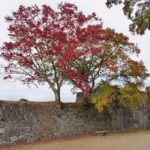紅葉 名所 観光スポット［岡城跡：大分 竹田市 竹田城］