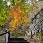 紅葉 名所 観光スポット［岡城跡：大分 竹田市 竹田城］