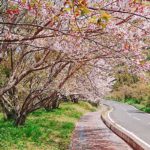 十三仏公園［桜情報：住所 行き方 駐車場 トイレ］