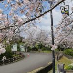 城山公園・天草キリシタン館［桜情報：住所 行き方 駐車場 トイレ］