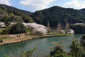 亀川ダム運動広場［桜情報：住所 行き方 駐車場 トイレ］