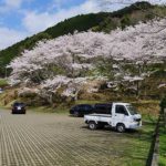 亀川ダム運動広場［桜情報：住所 行き方 駐車場 トイレ］