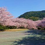 西平椿公園［桜情報：住所 行き方 駐車場 トイレ］