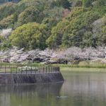 西の久保公園［桜情報：住所 行き方 駐車場 トイレ］