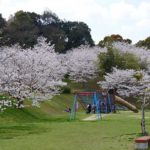 西の久保公園［桜情報：住所 行き方 駐車場 トイレ］