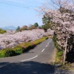 千厳山［桜情報：住所 行き方 駐車場 トイレ］