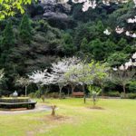 下田温泉さくら公園［桜情報：住所 行き方 駐車場 トイレ］