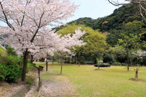 下田温泉さくら公園［桜情報：住所 行き方 駐車場 トイレ］