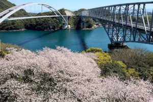 天門橋展望所［桜情報：住所 行き方 駐車場 トイレ］