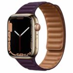 時計ベルト 交換 種類［Apple Watch］