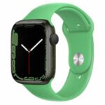  時計ベルト 交換 種類［Apple Watch］