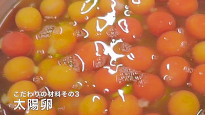 琴海堂 長崎でしか買えない 高級 カステラ ザラメ